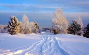 Раскраска пейзаж зима #1 #435456