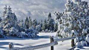 Раскраска пейзаж зима #11 #435466
