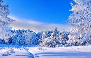 Раскраска пейзаж зима #18 #435473