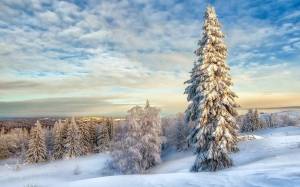 Раскраска пейзаж зима #24 #435479