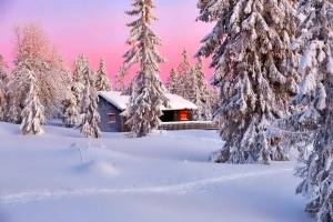 Раскраска пейзаж зима #27 #435482