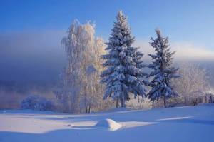 Раскраска пейзаж зима #29 #435484