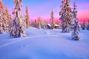 Раскраска пейзаж зима #31 #435486
