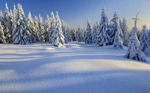 Раскраска пейзаж зима #34 #435489