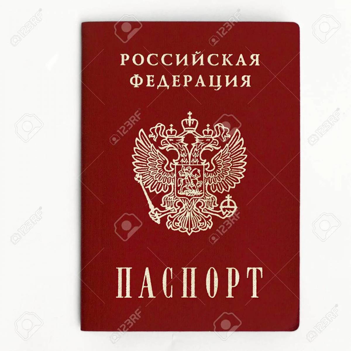 Паспорт для детей #12