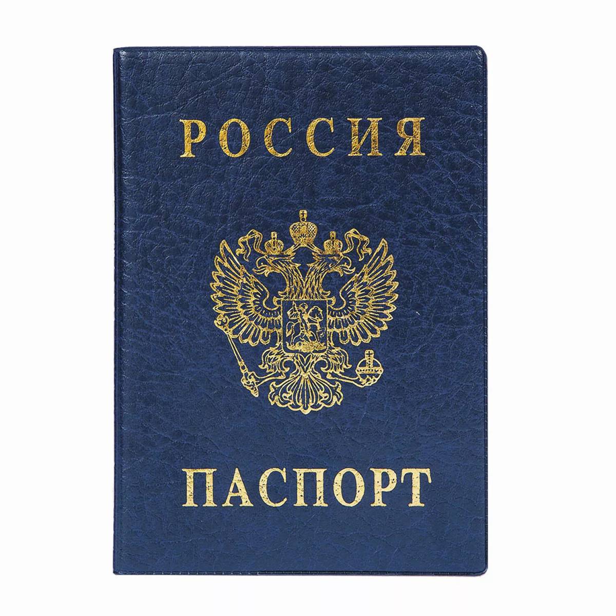 Паспорт для детей #14
