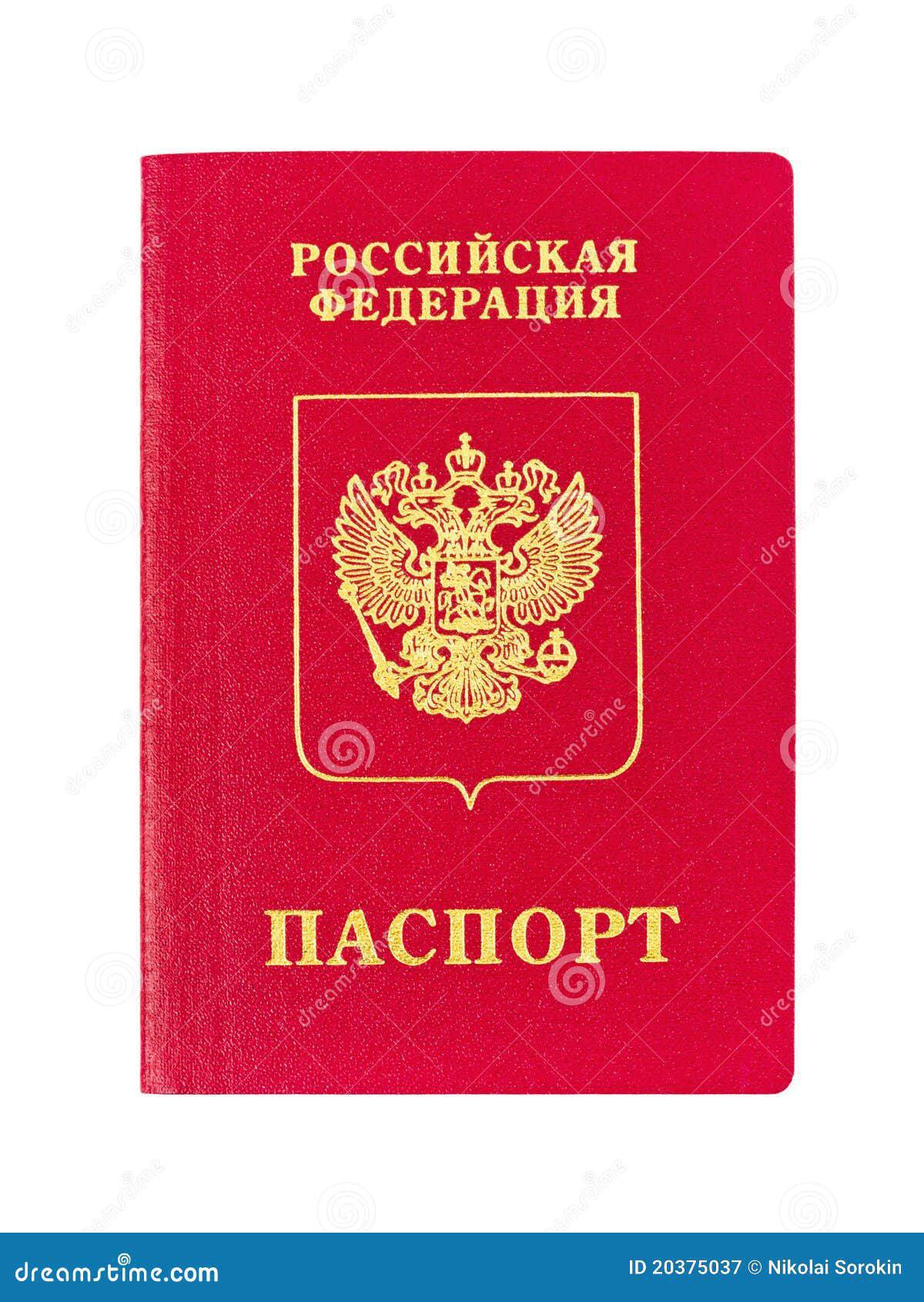Паспорт для детей #20