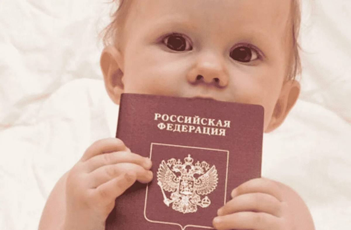 Паспорт для детей #22