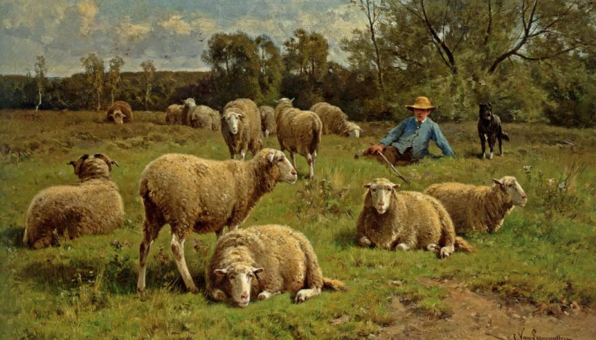 Пастух #16
