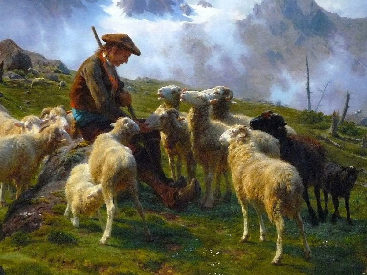 Пастух #27