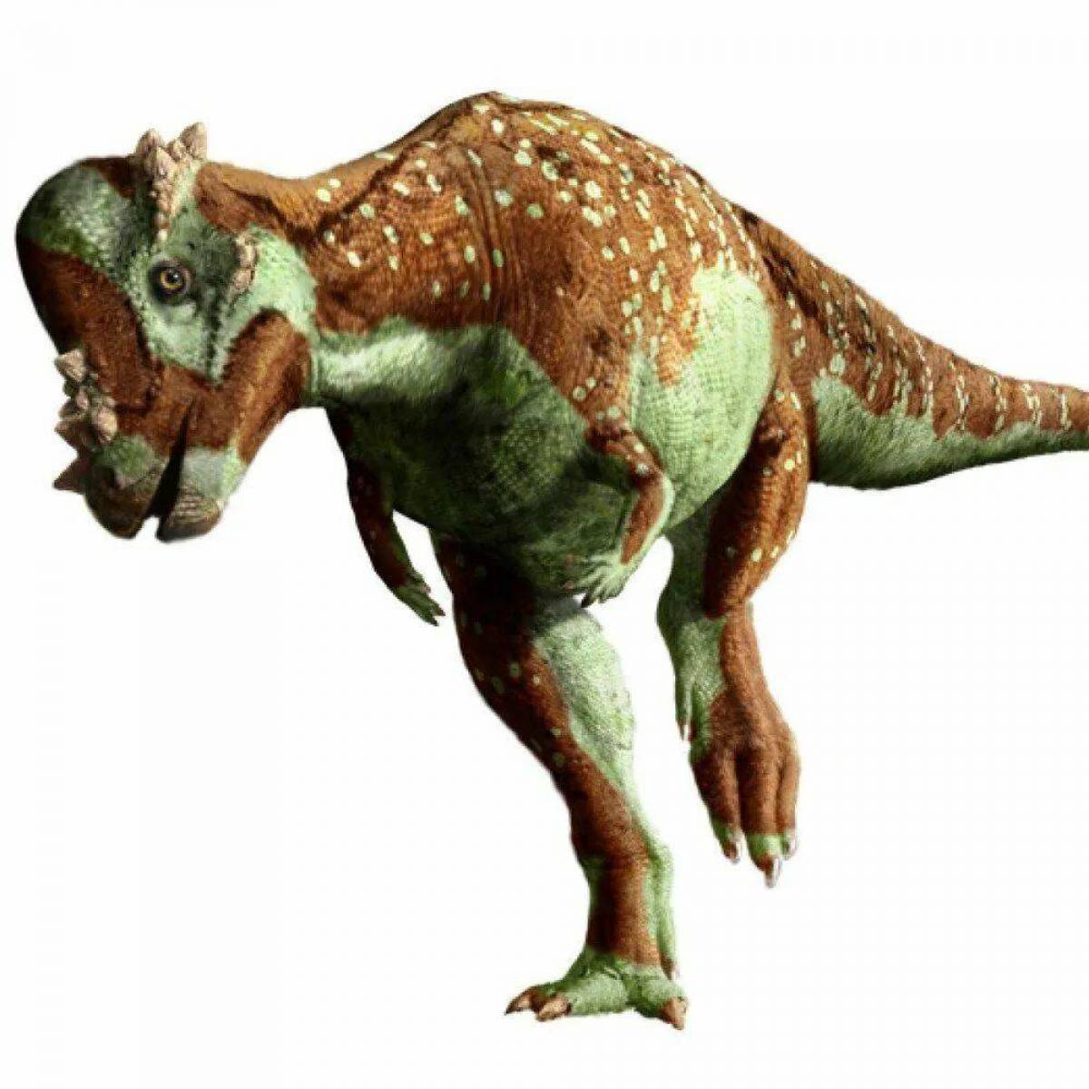 Пахицефалозавр #12