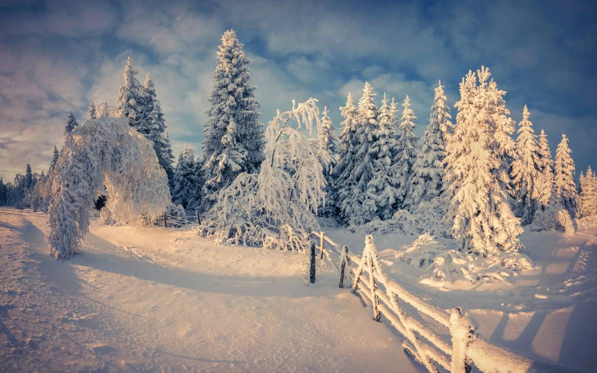 Пейзаж зима #7