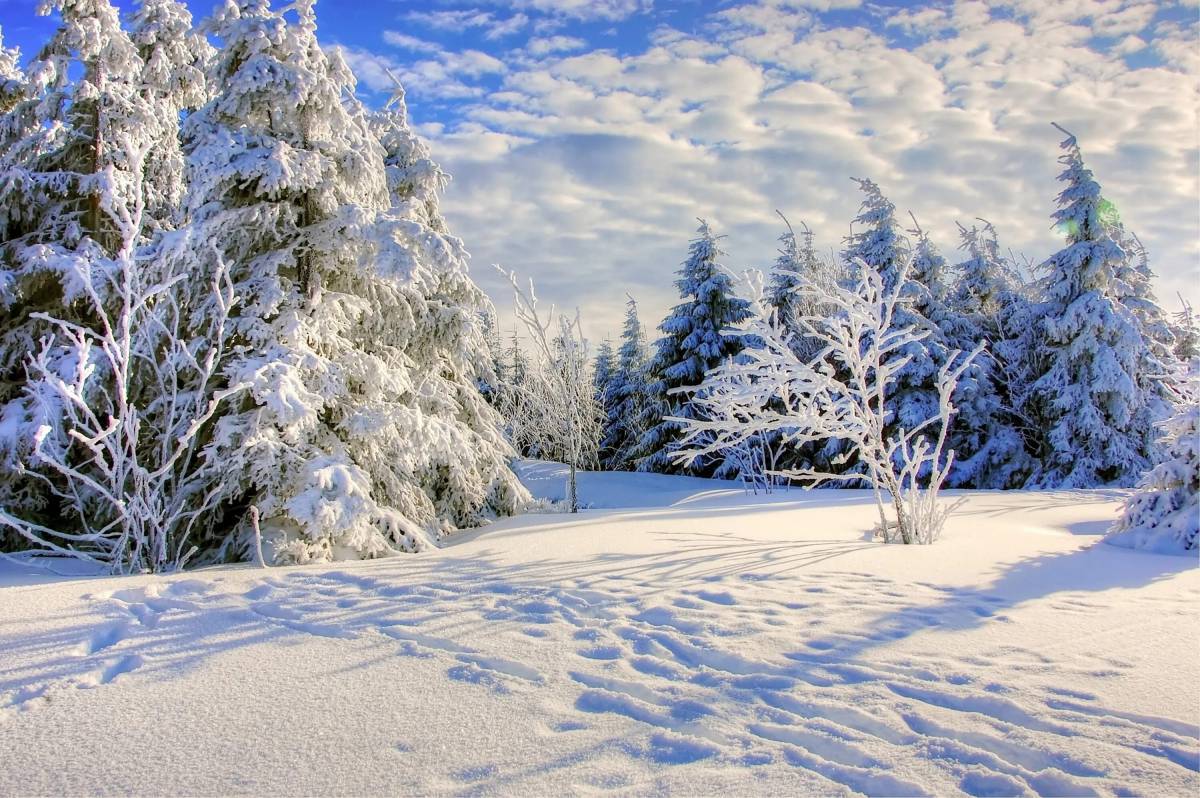 Пейзаж зима #10