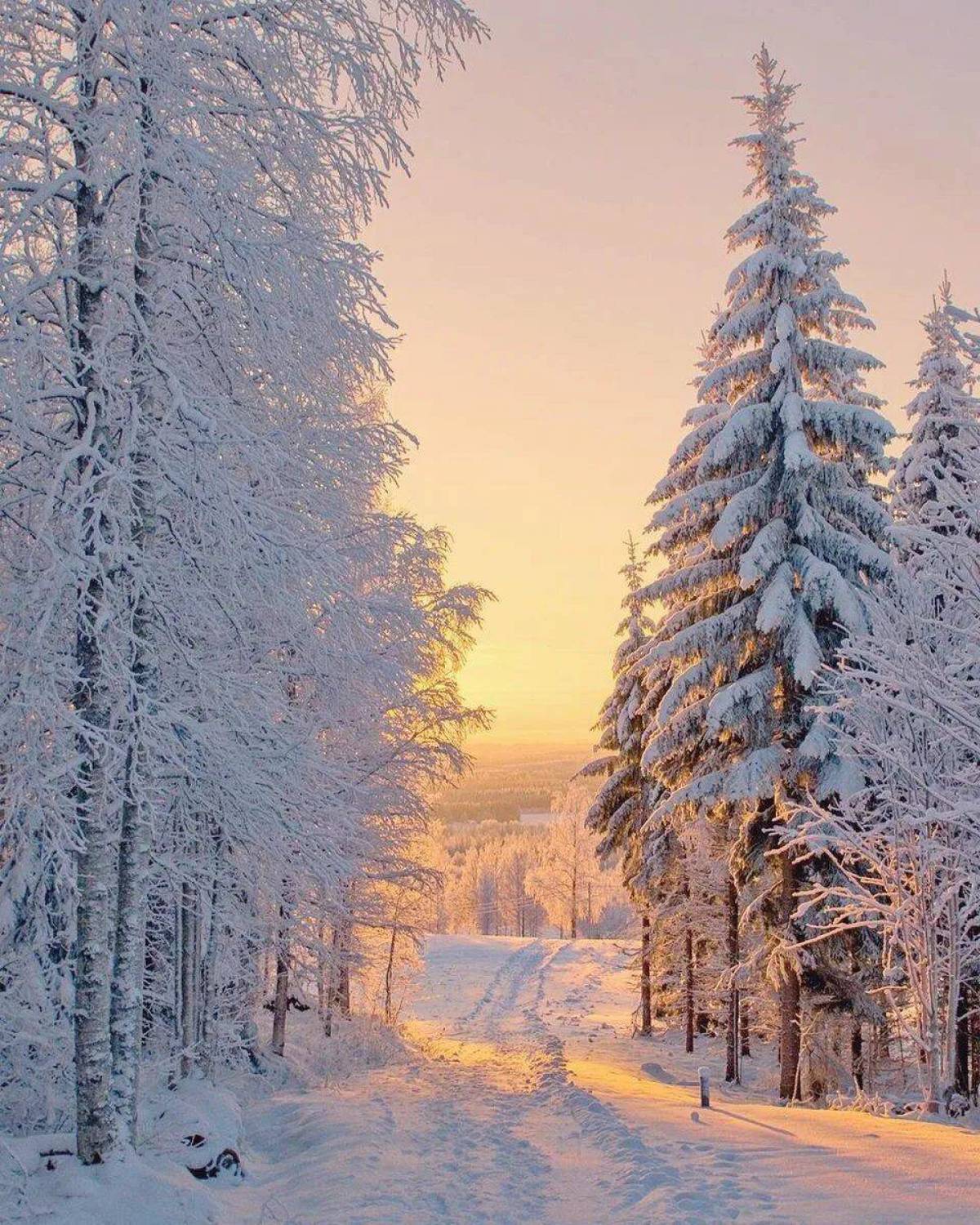 Пейзаж зима #12
