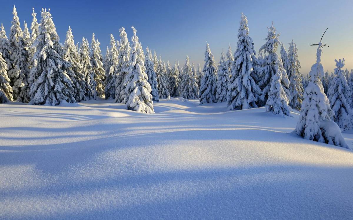 Пейзаж зима #34