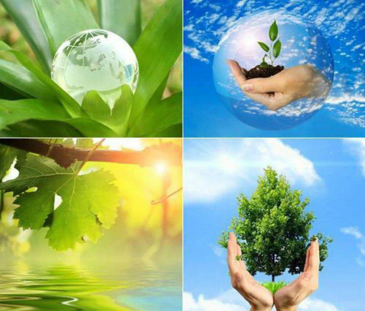 Сохранить природу сохранить здоровье. Берегите природу. Чистота природы. Защита экологии и окружающей среды. Экология и охрана природы.