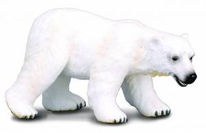 Раскраска белый медведь для детей #2 #40317