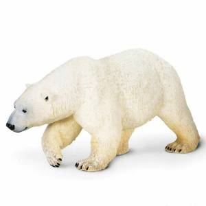 Раскраска белый медведь для детей #3 #40318