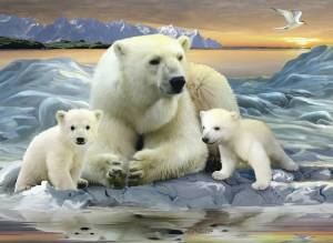 Раскраска белый медведь для детей #20 #40335