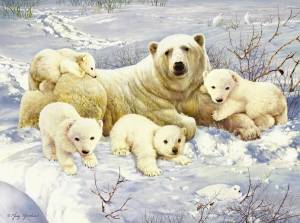 Раскраска белый медведь для детей #29 #40344