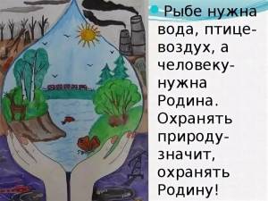 Раскраска берегите природу #33 #40540