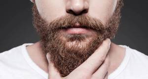 Раскраска бода борода #16 #41775