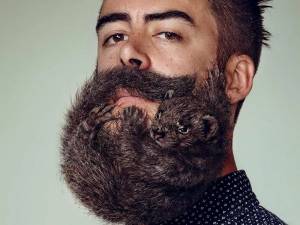 Раскраска бода борода #30 #41789