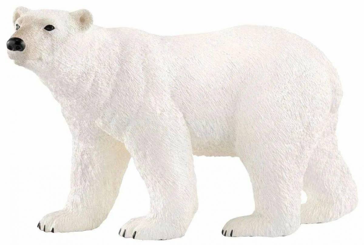Белый медведь для детей #12