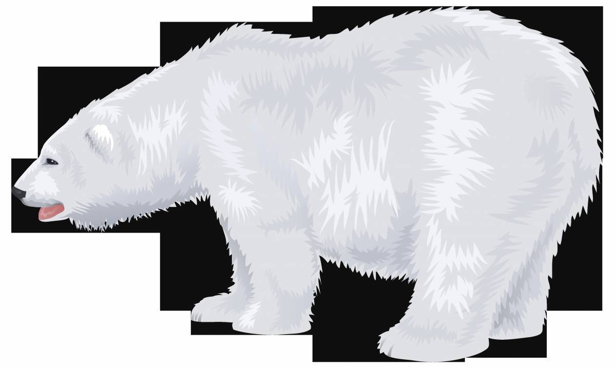 Белый медведь для детей #21