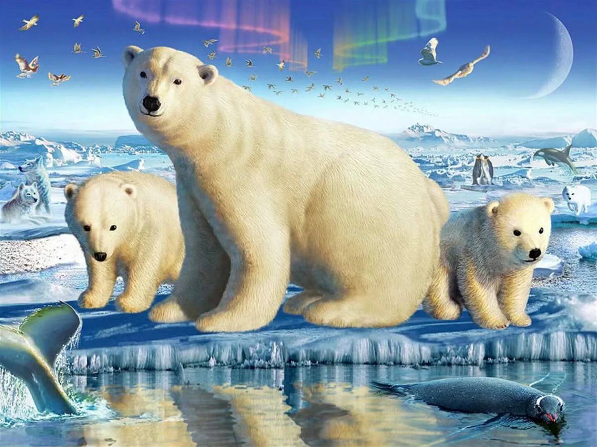 Белый медведь для детей #24