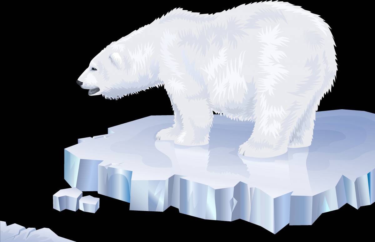 Белый медведь для детей #27