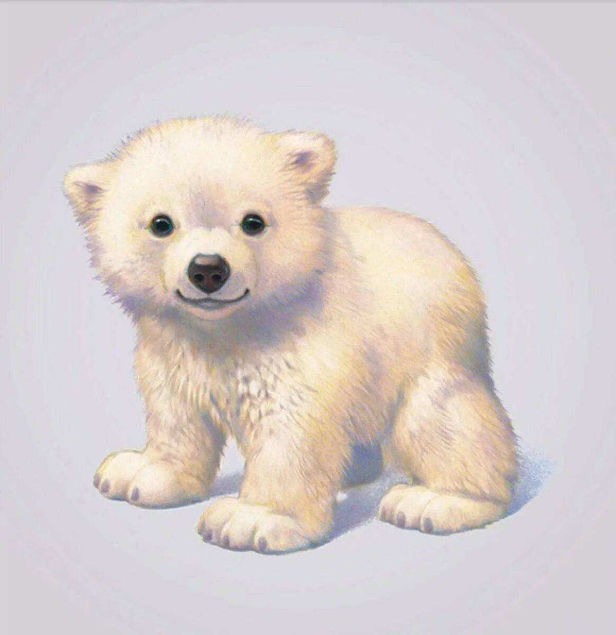 Белый медведь для детей #30