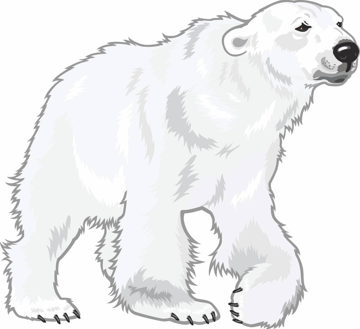 Белый медведь для детей #33