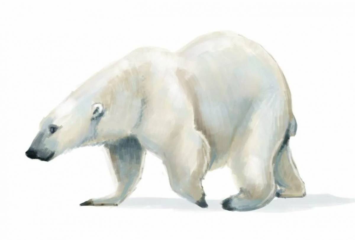 Белый медведь для детей #34