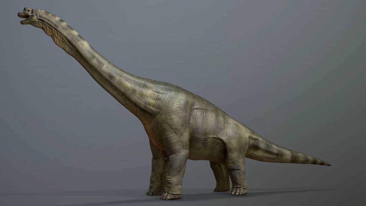 Брахиозавр #4