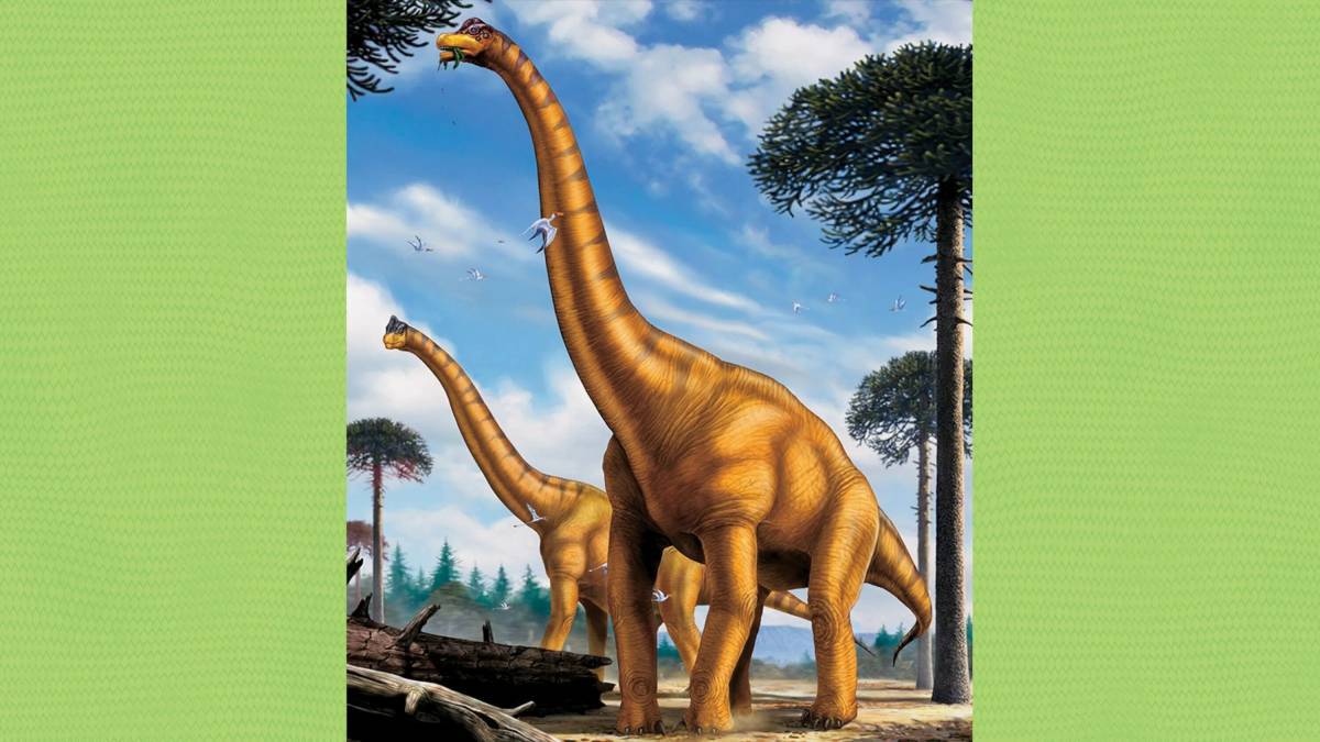 Брахиозавр #31