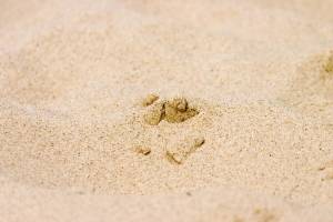 Раскраска песком #15 #436948