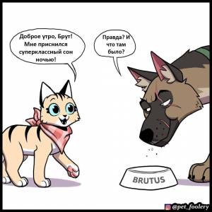 Раскраска пикси и брут #13 #439378