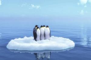 Раскраска пингвин на льдине #7 #439681