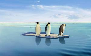 Раскраска пингвин на льдине #13 #439687