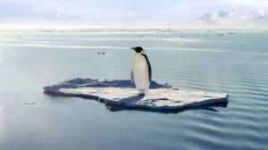 Раскраска пингвин на льдине #28 #439702