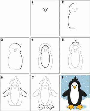 Раскраска пингвин на льдине в старшей группе #5 #439718