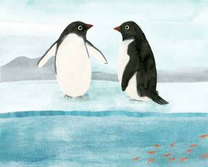 Раскраска пингвин на льдине в старшей группе #13 #439726