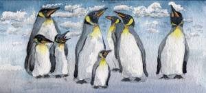 Раскраска пингвин на льдине в старшей группе #25 #439738
