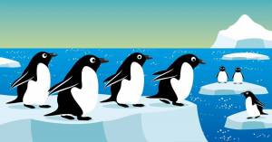 Раскраска пингвин на льдине в старшей группе #35 #439748