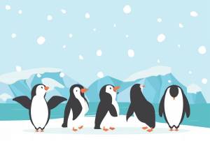 Раскраска пингвин на льдине для детей #25 #439777
