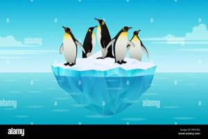 Раскраска пингвин на льдине для детей #28 #439780