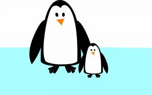 Раскраска пингвин рисунок для детей #8 #439828
