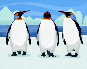 Раскраска пингвины для детей 5 6 лет #6 #439929