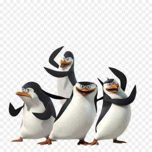 Раскраска пингвины из мадагаскара #4 #439963